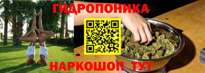 наркотики Боровичи
