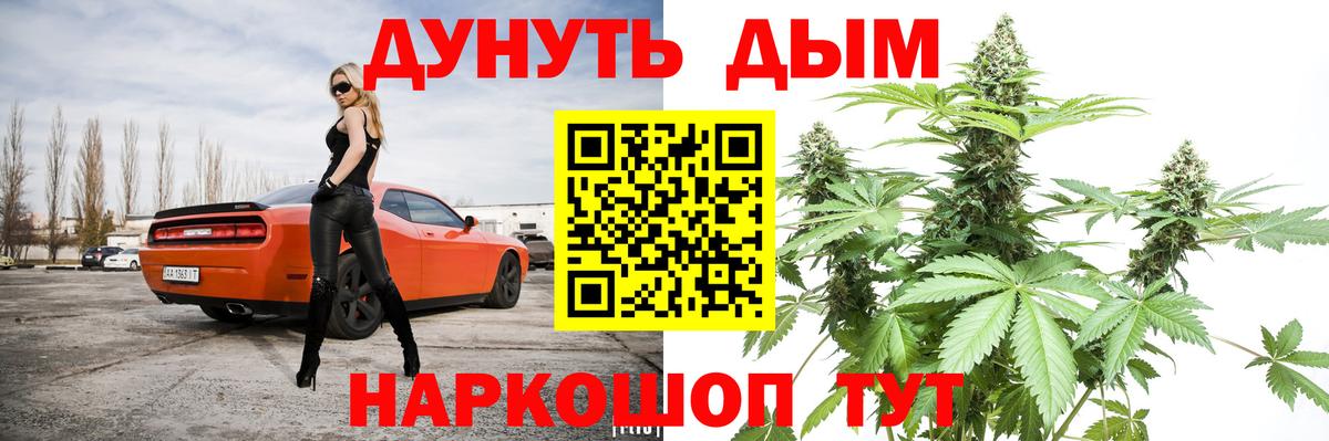 Канабис сатива Дербент